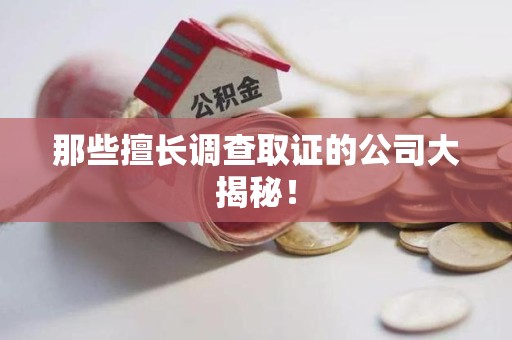 崇义那些擅长调查取证的公司大揭秘！
