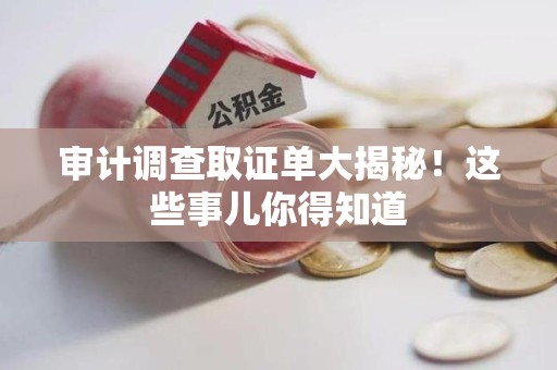 崇义审计调查取证单大揭秘！这些事儿你得知道
