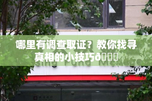 崇义哪里有调查取证？教你找寻真相的小技巧😎
