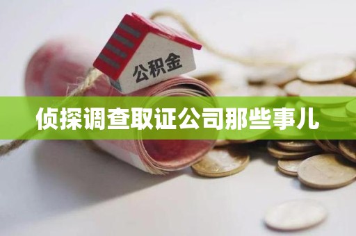 崇义侦探调查取证公司那些事儿