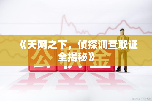 崇义《天网之下，侦探调查取证全揭秘》