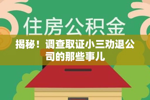 崇义揭秘！调查取证小三劝退公司的那些事儿