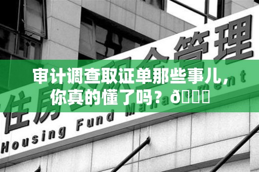 崇义审计调查取证单那些事儿，你真的懂了吗？😎